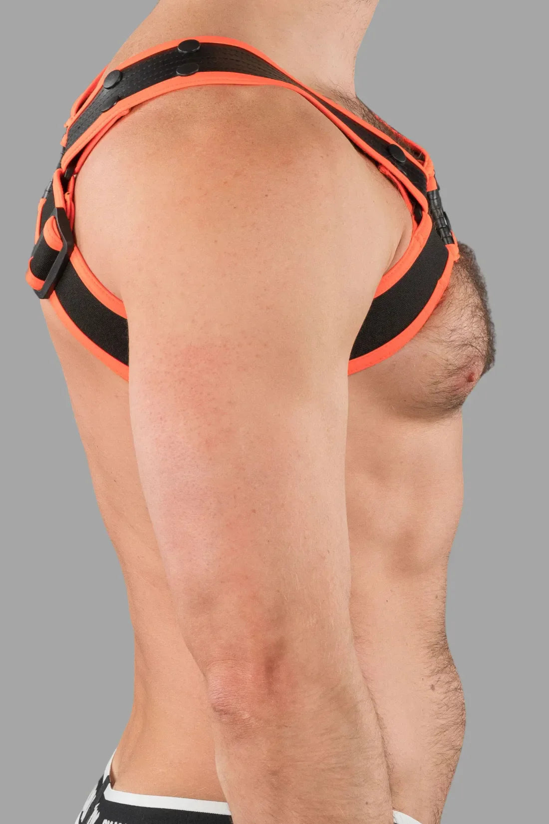 Outtox. Bulldog Harness with Snaps. Black and Orange